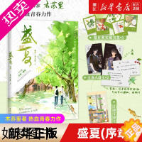 [正版]盛夏(序章) 木苏里著 热血青春力作新番外江添盛望青春言情小说书