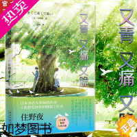 [正版]正版 又青又痛又脆 住野夜 我想吃掉你的胰脏作者 日本长篇青春轻小说文学 少年校园成长励志治愈系言情小说书籍 新