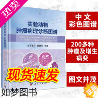 [正版][正版]实验动物肿瘤病理诊断图谱 大平东子常用实验动物各系统肿瘤性增生性病变大鼠小鼠比格犬豚鼠肿瘤性增生性病