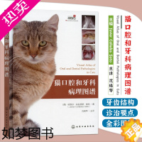 [正版]猫口腔和牙科病理图谱 猫牙科病理图谱治疗手册 犬猫组织学牙齿结构 犬猫齿系图谱 小动物牙周探查图例 宠物医生兽医