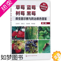 [正版]草莓蓝莓树莓黑莓病虫害诊断与防治原色图鉴2版 吕佩珂 等 编著 园艺专业科技 书店正版图书籍 化学工业出版社