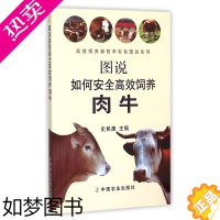 [正版]图说如何安全高效饲养肉牛 养牛技术书籍大全牛病类症鉴别与诊治肉牛养殖技术养牛技术书牛养殖书牛饲料配方书高效养牛常