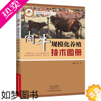 [正版]肉牛规模化养殖技术图册 养牛技术书籍大全 牛病类症鉴别与诊治 黄牛肉牛母牛养牛与牛病防治及安全用药兽医 牛羊科学