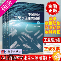 [正版]正版书籍 中国流域常见水生生物图集 上下册 王业耀水生生物的名录图片及物种形态生活环境环境指示意义等的内容科学出