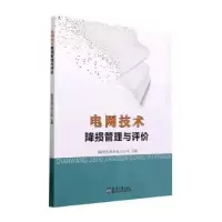 全新正版电网技术降损管理与评价9787561871096天津大学出版社