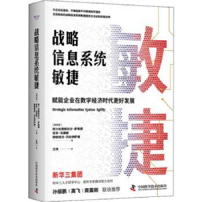 全新正版战略信息系统敏捷9787504696007中国科学技术出版社