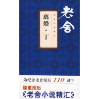 全新正版离婚:丁9787807413769文汇出版社