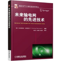 全新正版未来输电网的技术9787111517498机械工业出版社