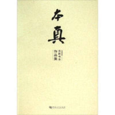 全新正版本真(沈莉书法作品集)9787564922092河南大学出版社