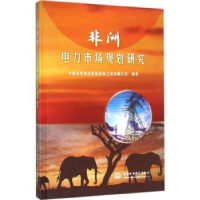 全新正版非洲电力市场规划研究9787517033318中国水利水电出版社