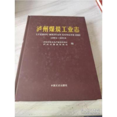 全新正版泸州煤炭工业志 1991-20159787503490286中国文史