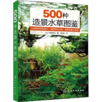 全新正版500种造景水草图鉴9787122401915化学工业出版社