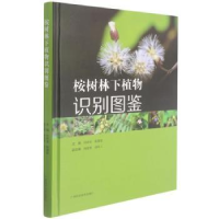 全新正版桉树林下植物识别图鉴9787555114710广西科学技术出版社