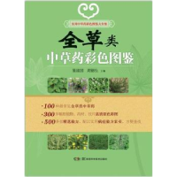 全新正版全草类草彩色图鉴9787535777683湖南科技出版社