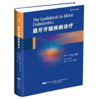 全新正版磨牙牙髓疾病诊疗9787559111364辽宁科学技术出版社