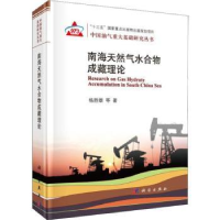 全新正版南海天然气水合物成藏理论9787030564481科学出版社