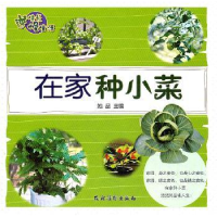 全新正版在家种小菜9787504855367农村读物出版社