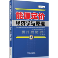 全新正版能源定价经济学与原理9787111441496机械工业出版社