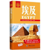 全新正版埃及9787503031991测绘出版社