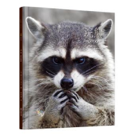 全新正版浣熊9787533939960浙江文艺出版社