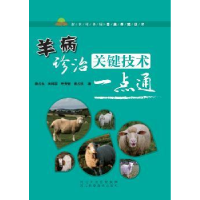 全新正版羊病诊治关键技术一点通9787537582766河北科技出版社