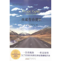 全新正版援藏青春赞歌9787546154893山社