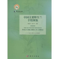 全新正版中国主要野生兰手绘图鉴9787030473202科学出版社