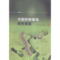 全新正版中国柞树害虫原色图鉴9787538197389辽宁科学技术出版社