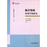 全新正版临沂商城转型升级研究9787209093354山东人民出版社