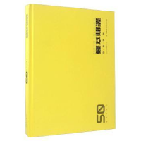 全新正版装饰文丛:05:个案点击9787531476184辽宁美术出版社