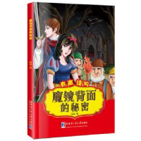 全新正版魔镜背面的秘密9787560359458哈尔滨工业大学出版社