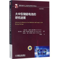 全新正版大中型储能电池的研究进展9787111583机械工业出版社