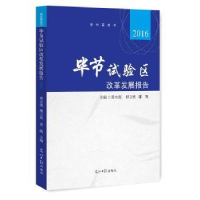 全新正版节试验区改革发展报告:20169787519426729光明日报出版社