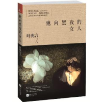 全新正版驰向黑夜的女人9787539966151江苏文艺出版社