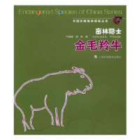 全新正版密林隐士:金毛羚牛9787542864888上海科技教育出版社