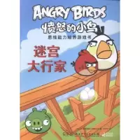 全新正版迷宫大行家9787556201990湖南少年儿童出版社