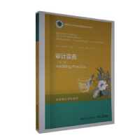 全新正版审计实务9787565436444东北财经大学出版社