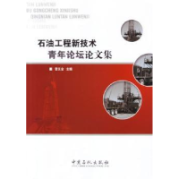 全新正版石油工程新技术青年坛论集9787511428547中国石化出版社