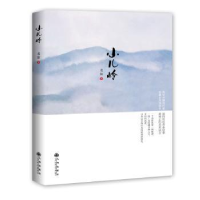 全新正版小儿岭9787510838224九州出版社