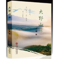 全新正版大野山林9787519009519中国文联出版社