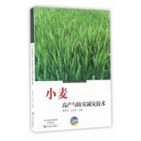 全新正版小麦高产与防灾减灾技术9787554213605中原农民出版社