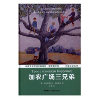 全新正版加农广场三兄弟9787507838718中国国际广播出版社