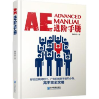 全新正版AE进阶手册9787516415115企业管理出版社