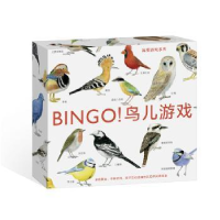 全新正版BINGO!鸟儿游戏9787550291102北京联合出版公司