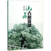 全新正版山东省流苏古树资源9787503896040中国林业出版社