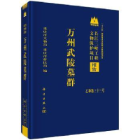 全新正版万州武陵墓群9787030586988科学出版社