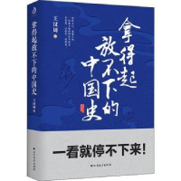 全新正版拿得起放不下的中国史9787531745655北方文艺出版社