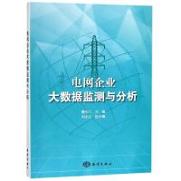 全新正版电网企业大数据监测与分析9787521002713海洋出版社