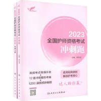 全新正版20全国护师资格冲刺跑9787117337038人民卫生出版社