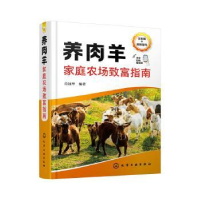 全新正版养肉羊家庭农场致富指南97871224191化学工业出版社